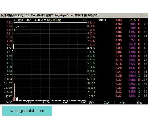 世界杯赛前盘口深度解析与投注技巧全方位指南