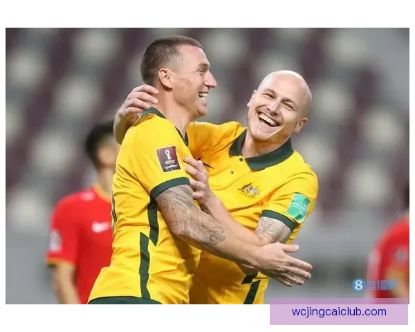 揭秘世界杯买球盘口背后的玩法与投注技巧全面解析