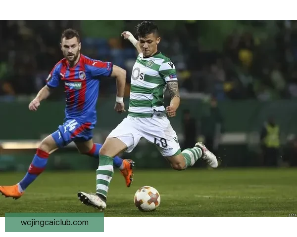 世界杯竞猜赛事数据深度解析与胜负趋势全面预测